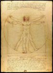 El hombre de Vitruvio de Da Vinci.