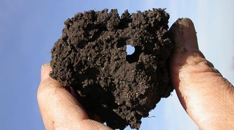 Cuando las partículas de arcilla se unen en agregados, casi todas las propiedades del suelo mejoran