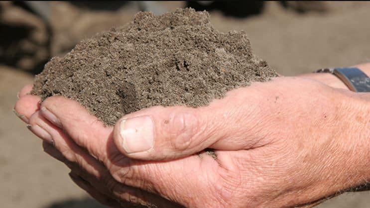 Un suelo arenoso es un ejemplo de una estructura de grano único