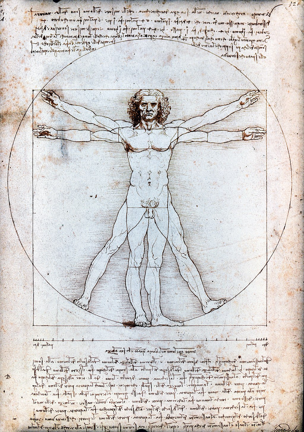 Hombre de Vitruvio dibujo de Leonardo da Vinci expresion del canon estetico renacentista