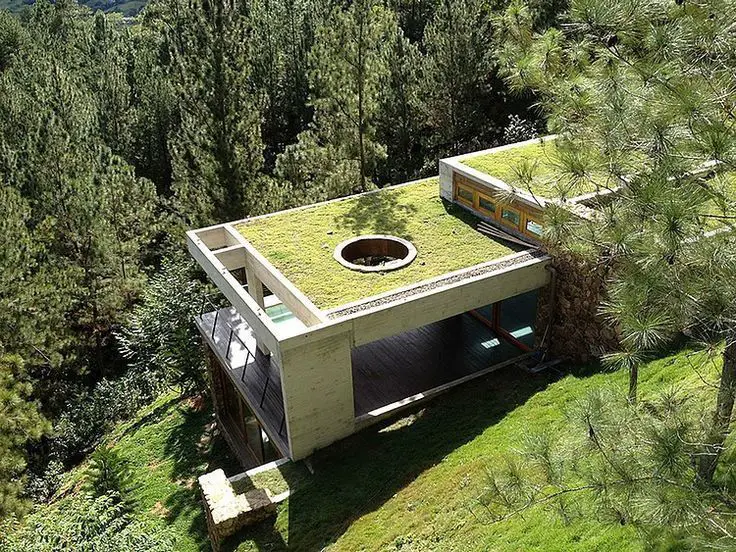 El techo verde y sus beneficios https://www.arquitecturapura.com/techo-verde/