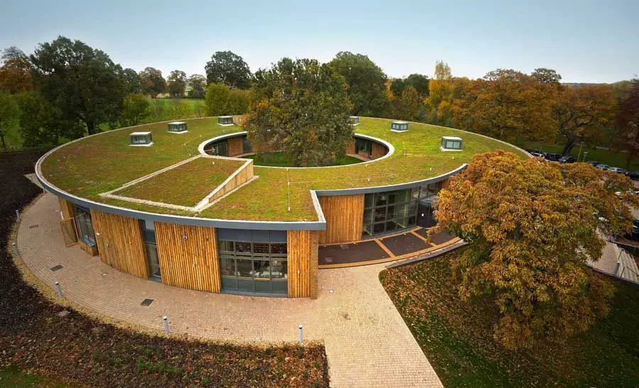 El techo verde arquitectura