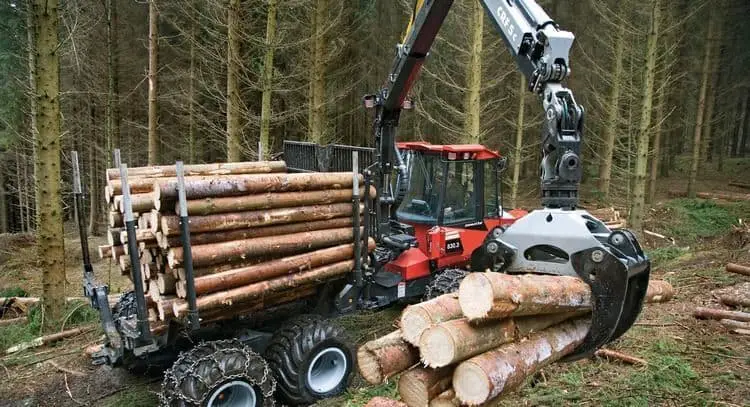 Proceso de obtención de la madera - tipos de madera