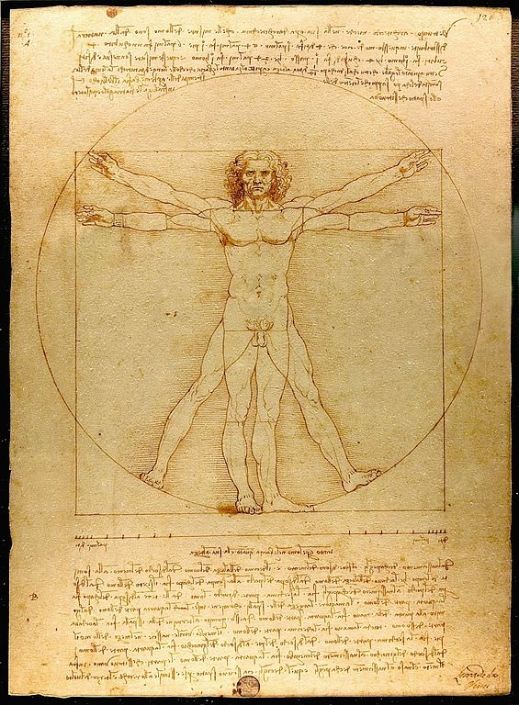 Proporciones perfectas del cuerpo humano El hombre de Vitruvio por Leonardo da Vinci.