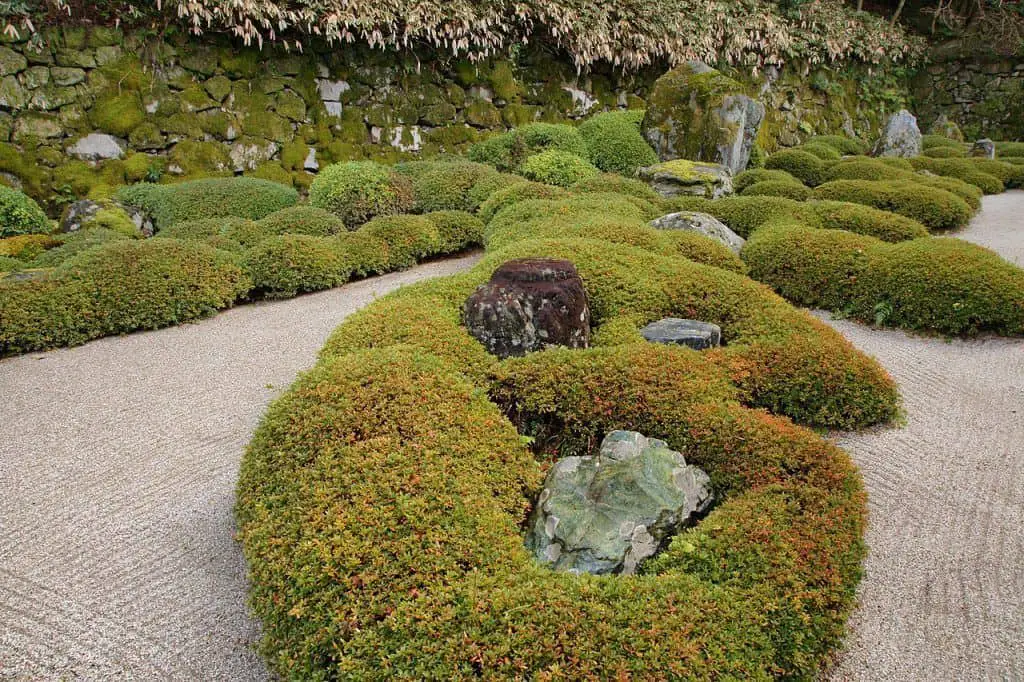 El estilo de la escultura de plantas de topiario conocido como o-karikomi en el Jardín Chionin.