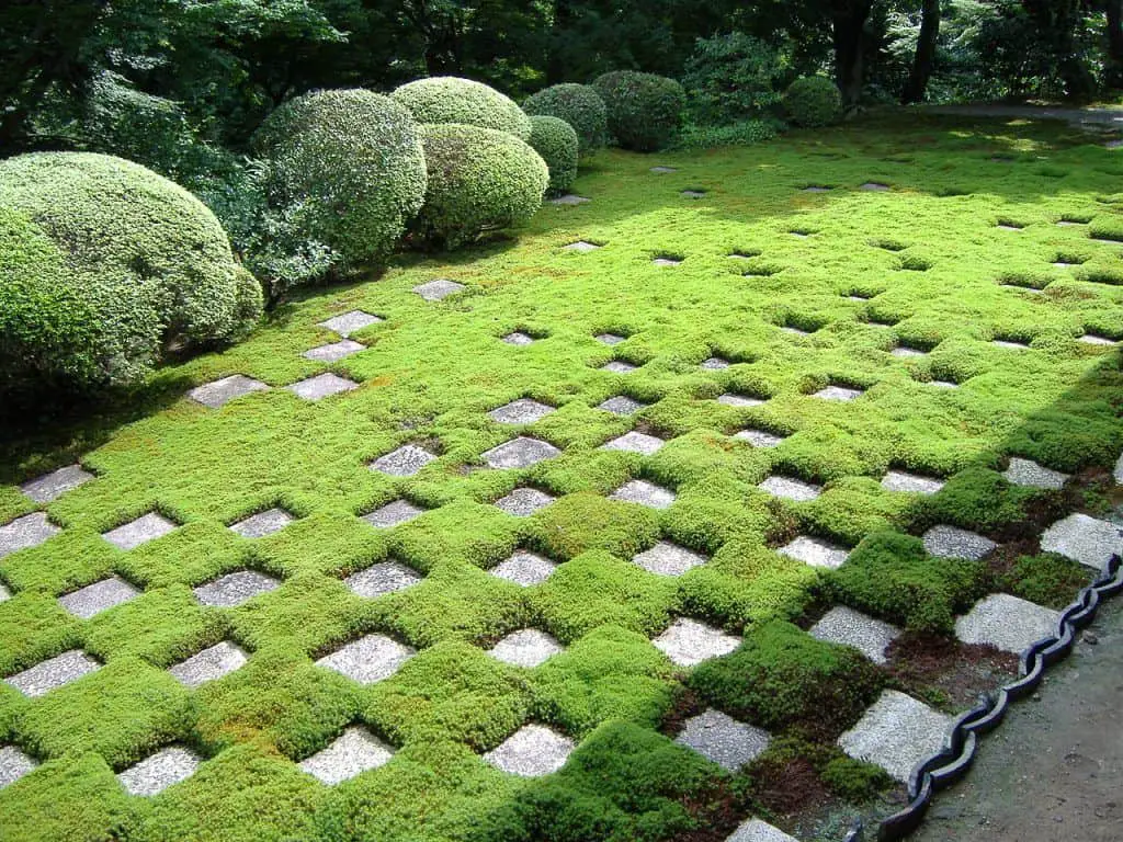 Jardines del templo tōfuku-ji en kioto