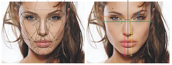 Proporción áurea: proporción áurea en la cara de Angelina Jolie