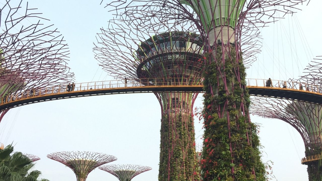 ¿Qué es un jardín vertical? 7 crecimiento urbano