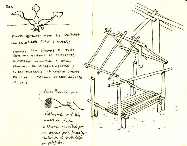 Estructura del Palafito